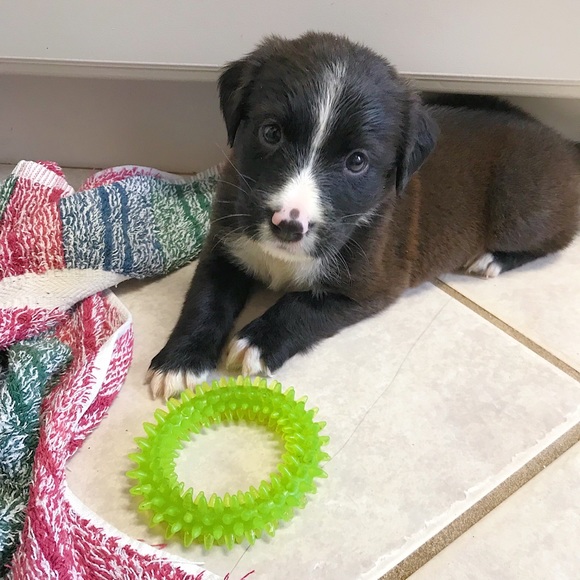 C’est moi, Maggie 😊 - Picture 5 of 6